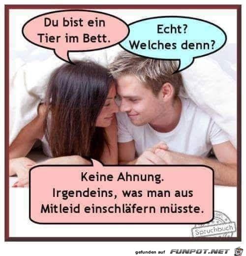 Tier im Bett Tier im Bett