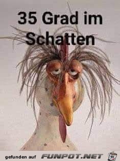 35 Grad im Schatten 35 Grad im Schatten