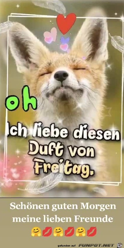 Guten Morgen Freitag Guten Morgen Freitag