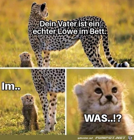 Dieser Blick Dieser Blick