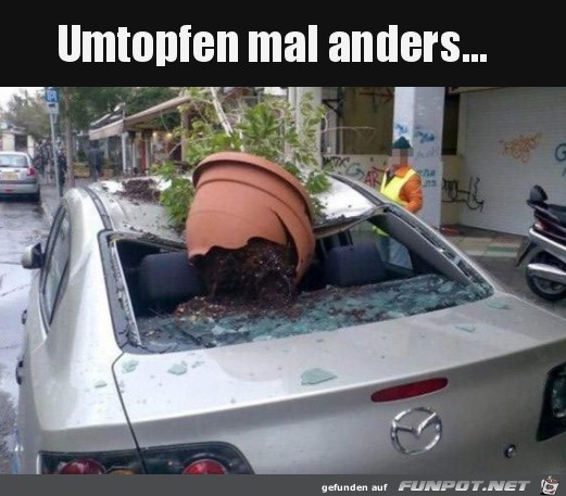 Mal anders umtopfen Mal anders umtopfen