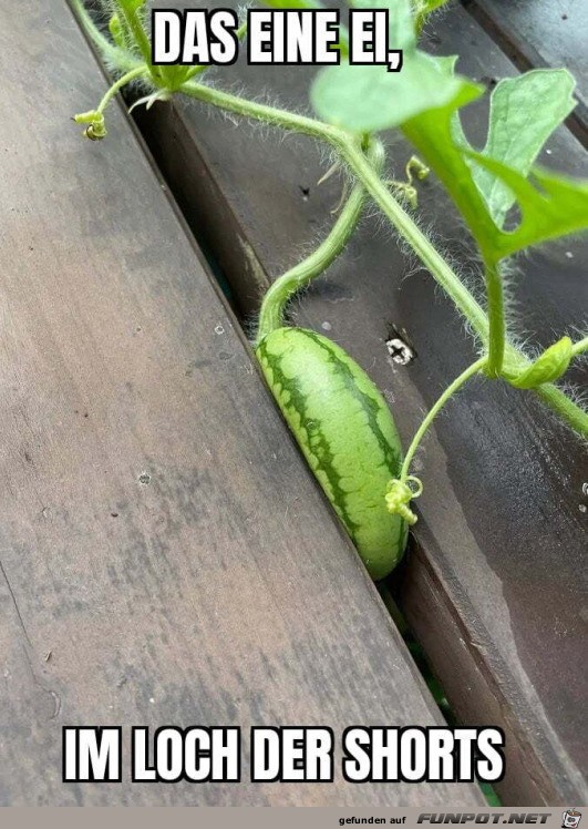 Eingequetscht Eingequetscht