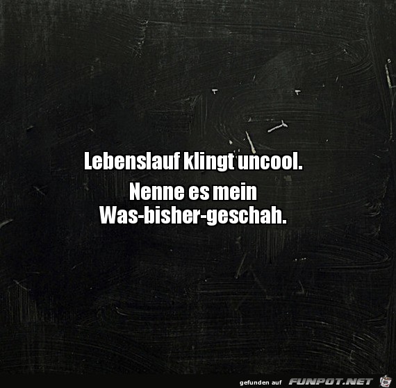 Neue Bezeichnung fr Lebenslauf