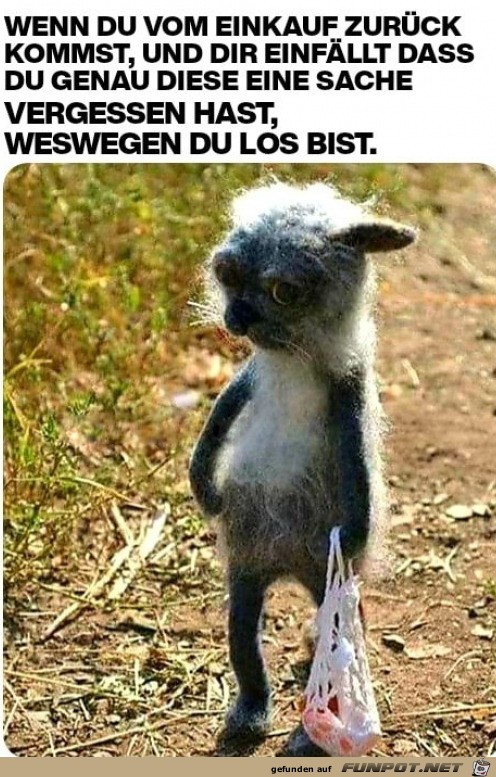 Vergessen Vergessen