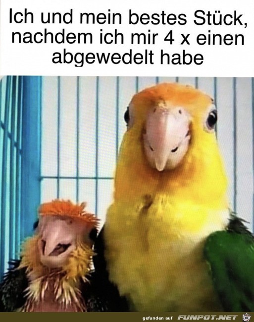 Sieht fertig aus Sieht fertig aus