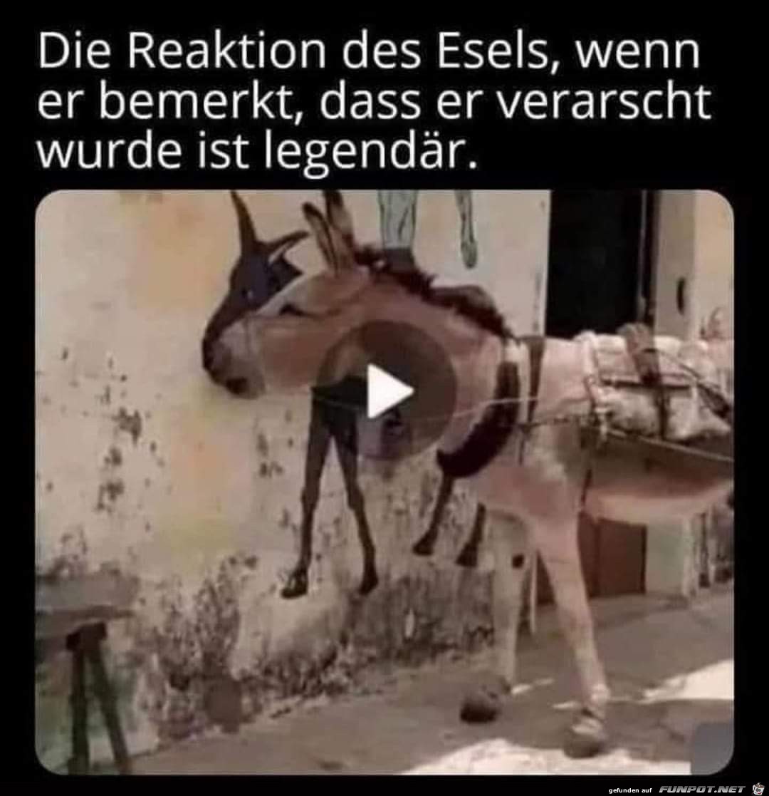 Reaktion Reaktion