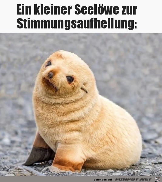 Stimmungsaufheller