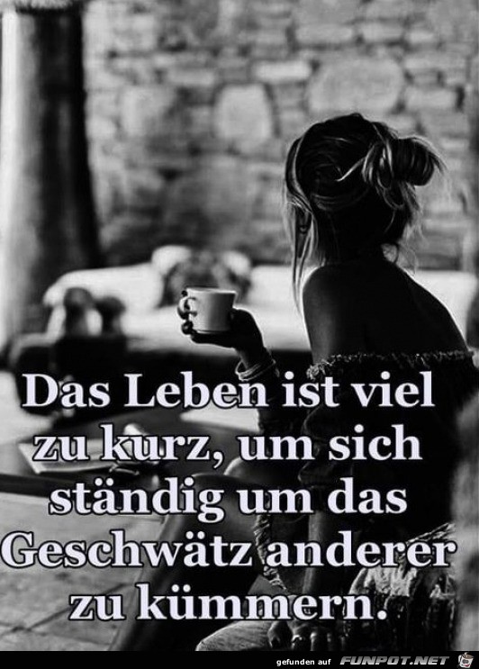 Das Leben ist zu kurz Das Leben ist zu kurz