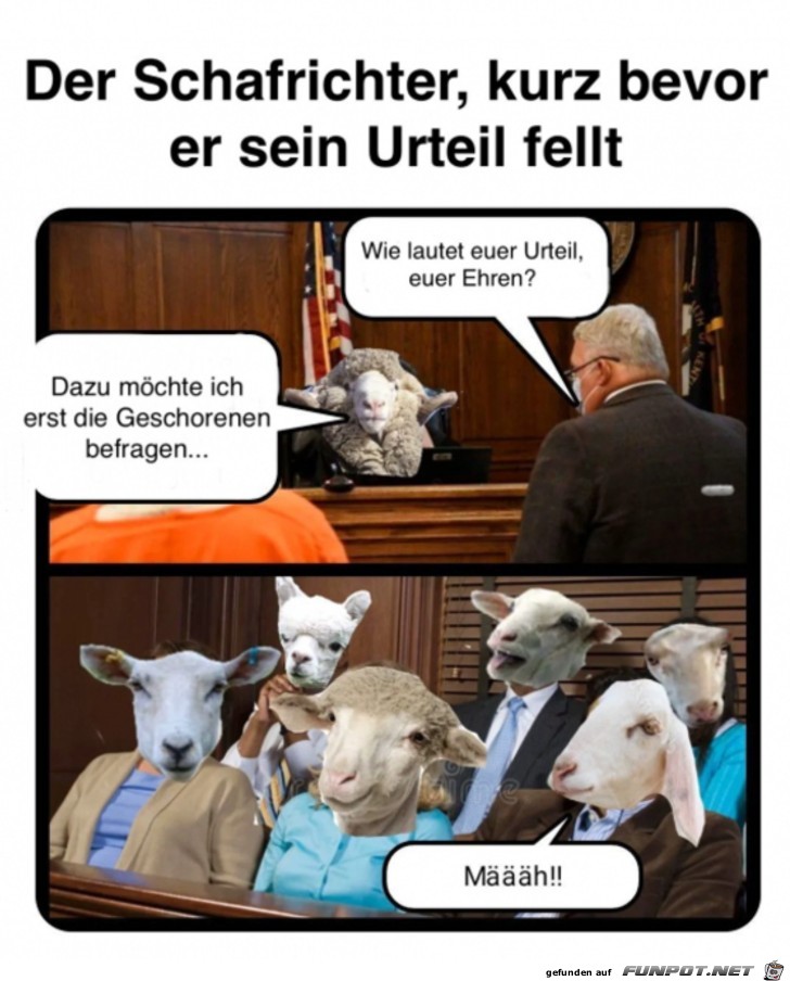 Der Schafrichter Der Schafrichter