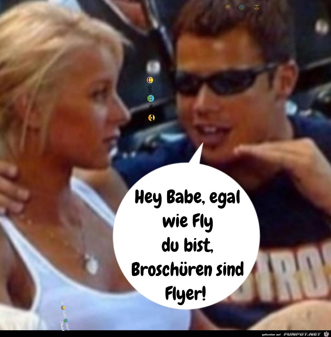 Fly Flyer Broschuere