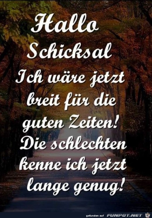 Hallo Schicksal Hallo Schicksal