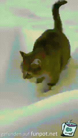 Ziemlich tief der Schnee Ziemlich tief der Schnee