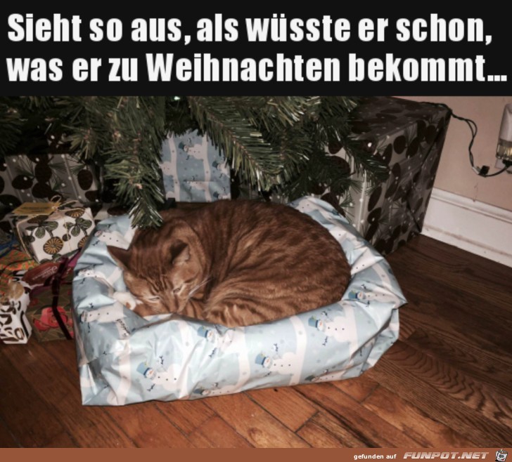 Geschenk gefunden