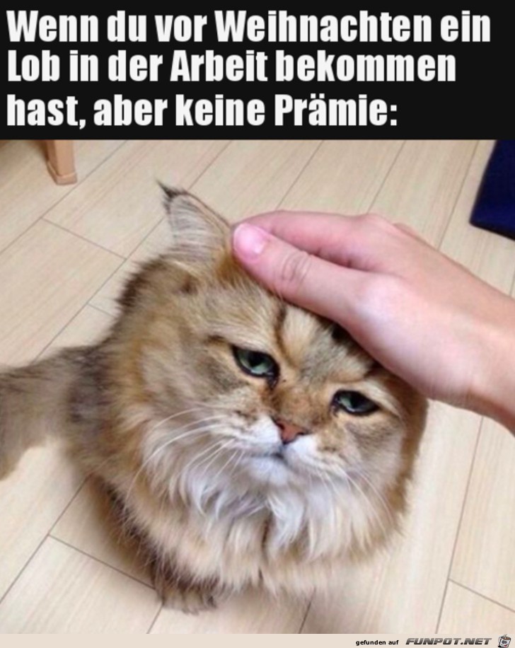 Keine Prmie bekommen