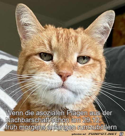 Braucht kein Mensch