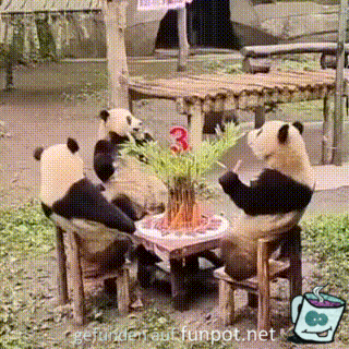 Mittagessen bei Pandaas Mittagessen bei Pandaas
