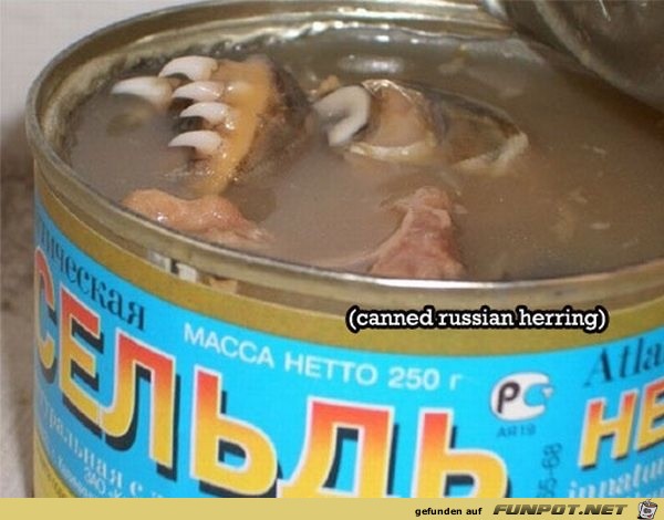 Dosenfutter
