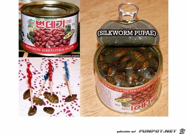 Dosenfutter 40 Dosenfutter 40