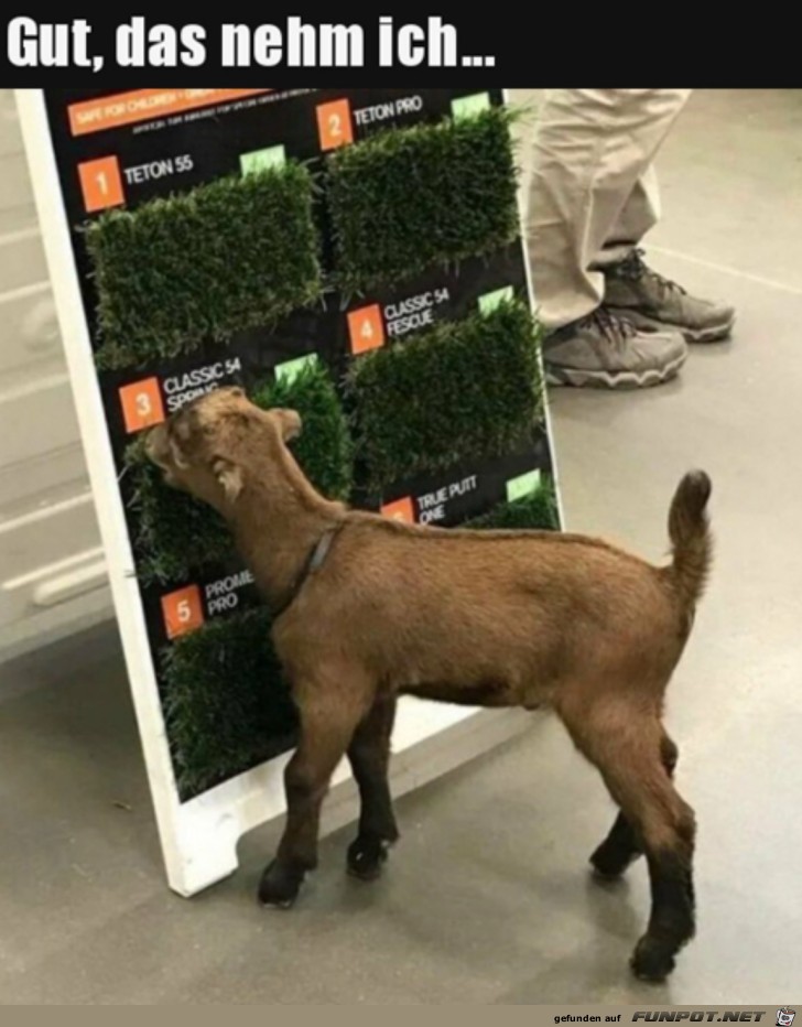 Das nehme ich Das nehme ich