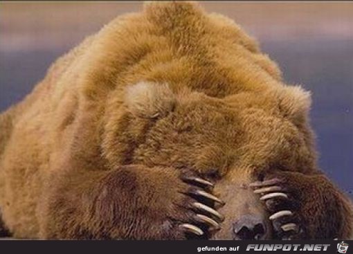 Facepalms 24 Facepalms 24