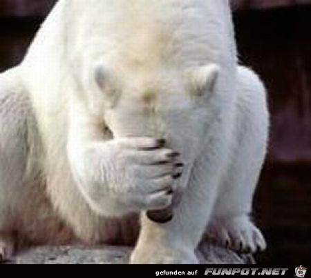 Facepalms 28 Facepalms 28