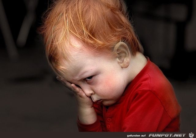 Facepalms 31 Facepalms 31
