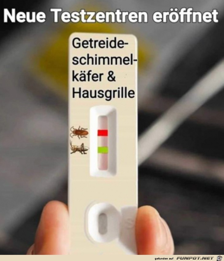 Neuer Test Neuer Test
