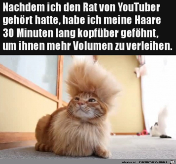 Schicke Frisur