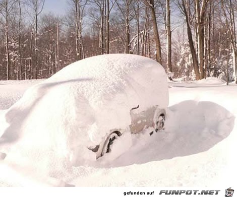 Sehr viel Schnee 5 Sehr viel Schnee 5