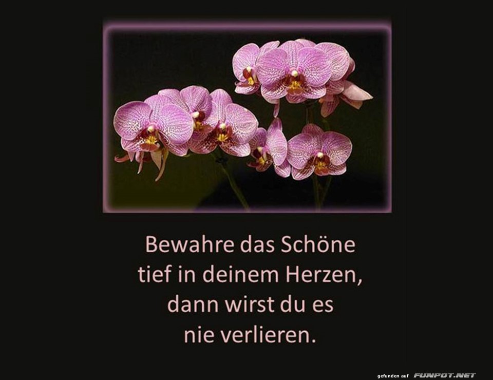 Bewahre das Schöne 1 Bewahre das Schöne 1