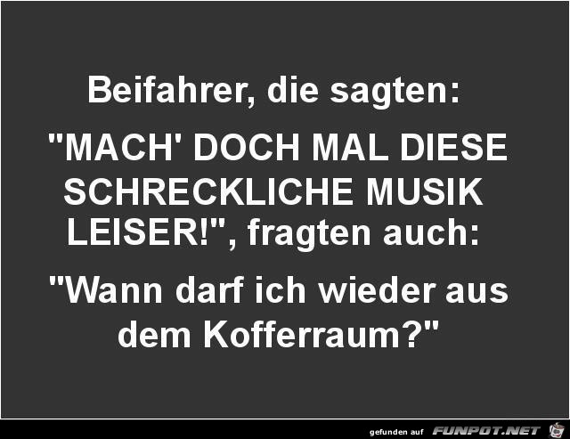 Beifahrer Beifahrer