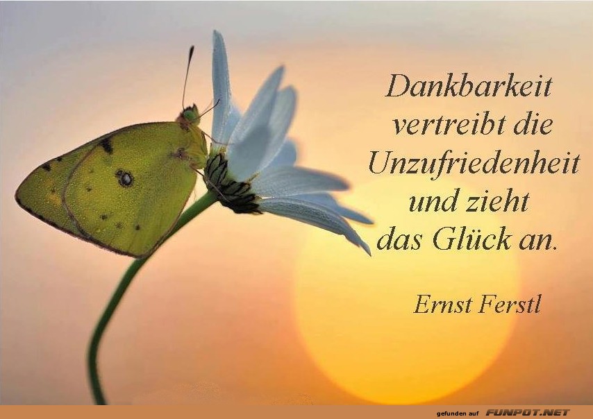 Dankbarkeit