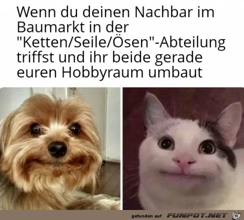Diese Blicke Diese Blicke