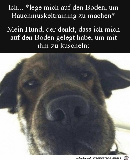 Mein Hund Mein Hund