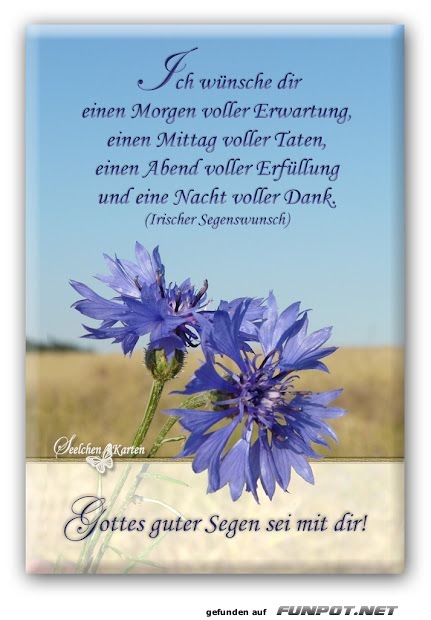 Irischer Segenswunsch 2 Irischer Segenswunsch 2