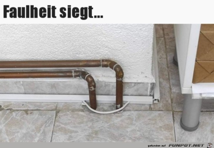 Faulheit siegt Faulheit siegt
