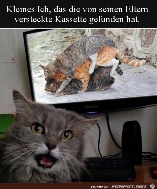 Kassette gefunden
