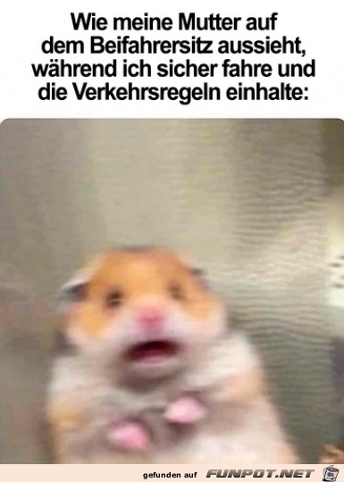 Mutter ist unentspannt Mutter ist unentspannt