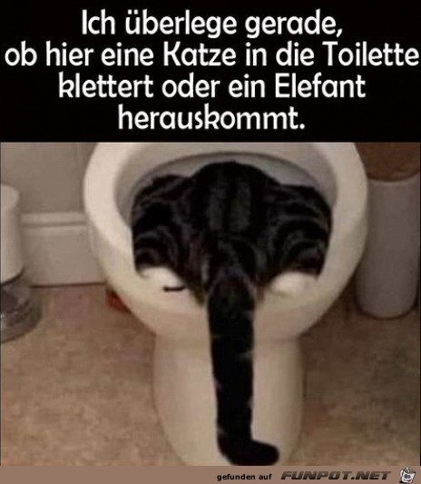 Könnte beides sein Könnte beides sein