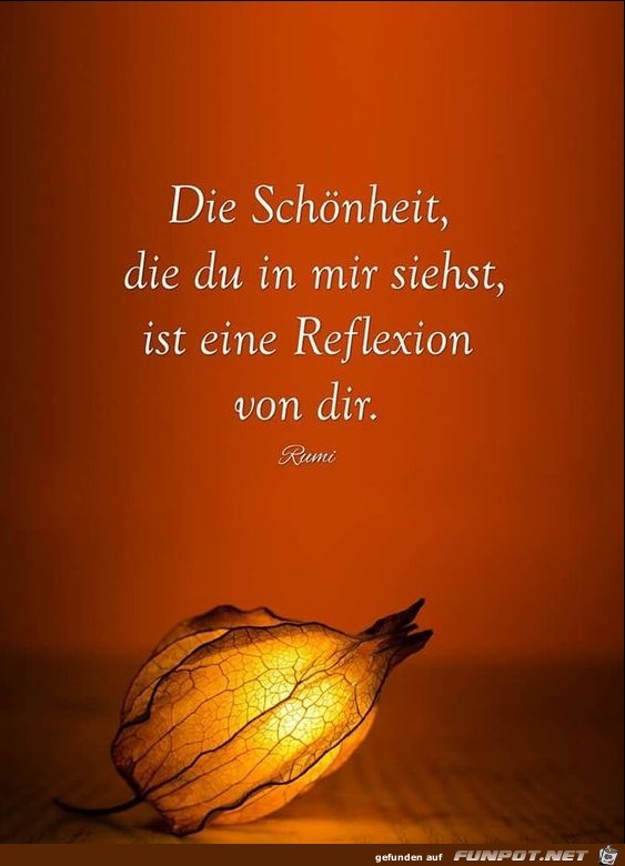 Die Schönheit die du in mir siehst Die Schönheit die du in mir siehst