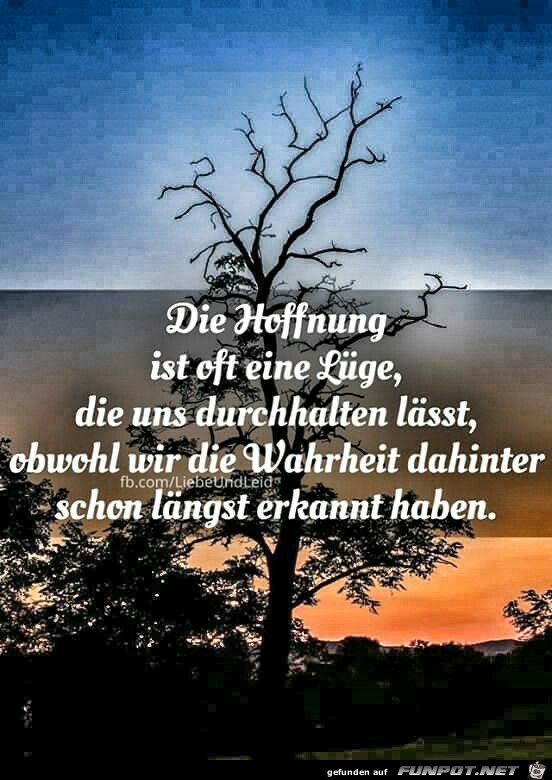 Die Hoffnung ist oft eine Lge