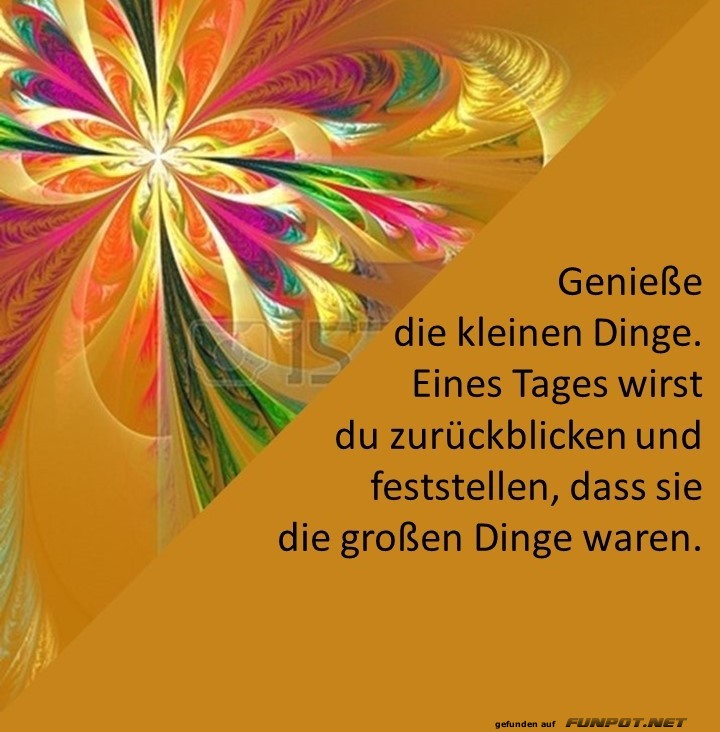 Geniee die kleinen Dinge