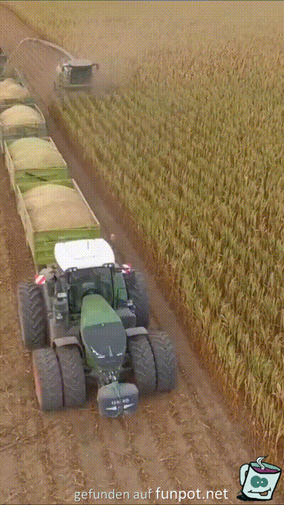 Hier wird geerntet