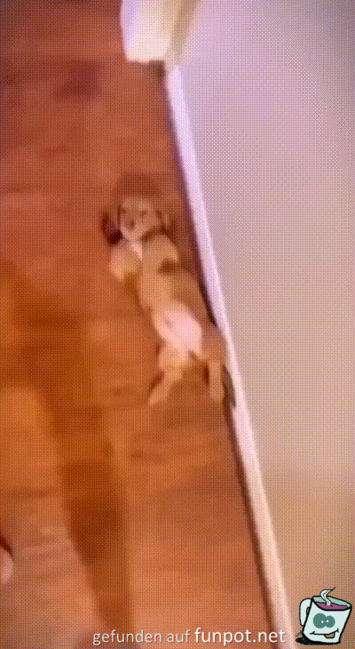 Kraule mich Kraule mich