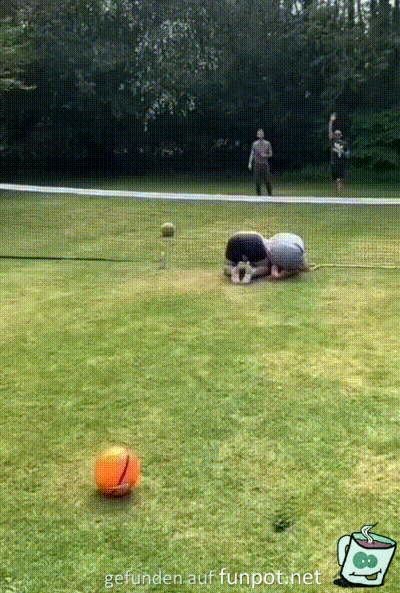 Volltreffer Volltreffer
