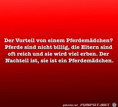 Pferdemädchen Pferdemädchen