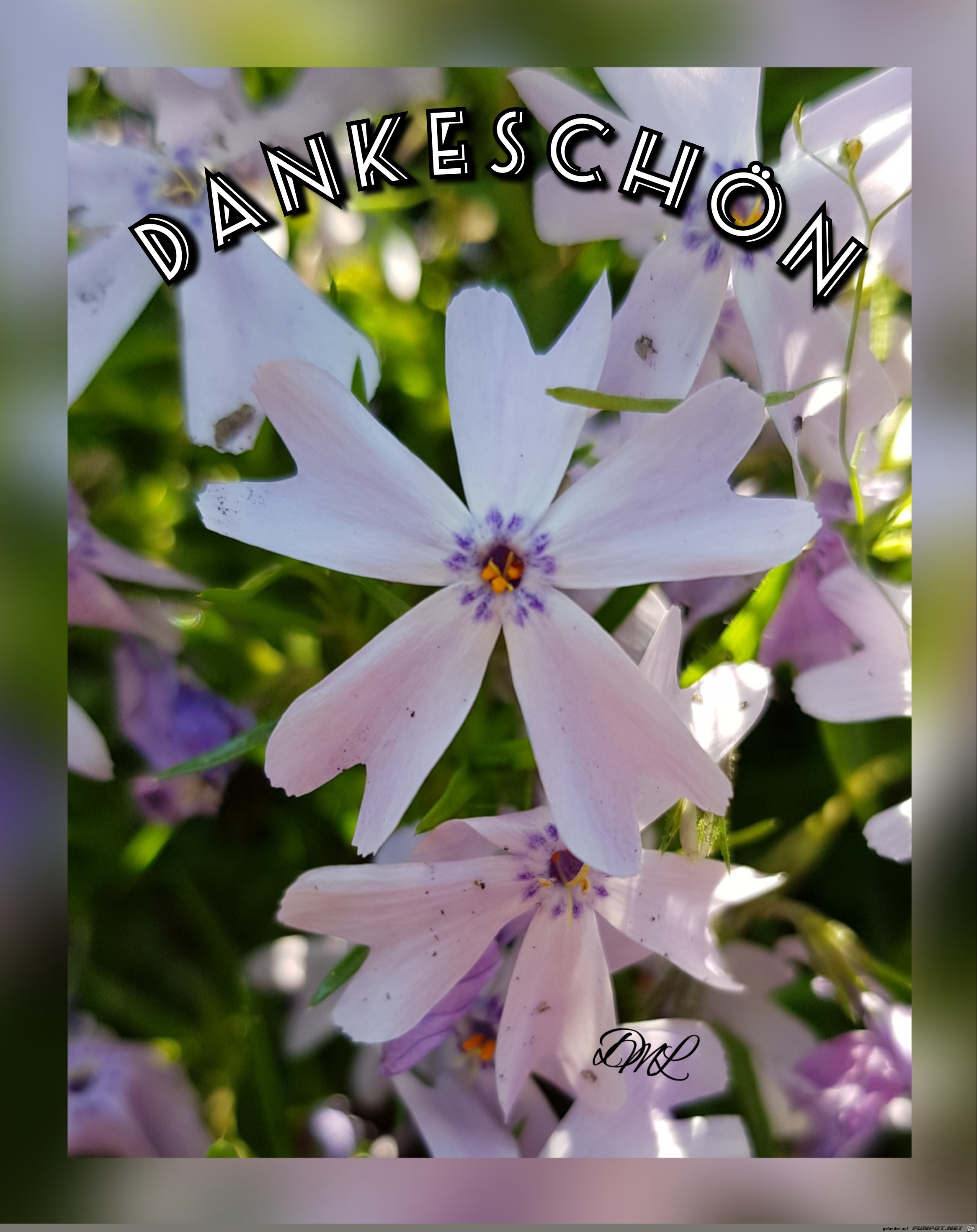 Dankeschön Blume Dankeschön Blume
