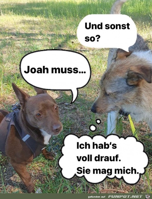 Er hat es voll drauf Er hat es voll drauf