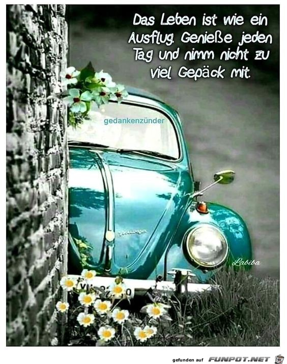 Das Leben ist wie ein Ausflug