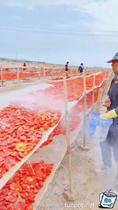 Getrocknete Tomaten Getrocknete Tomaten